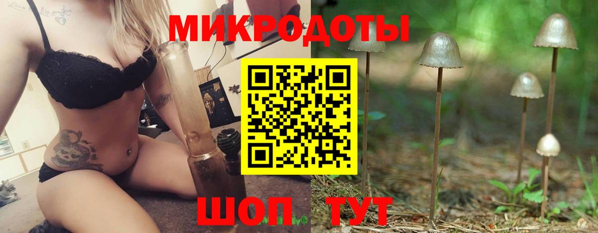 Псилоцибиновые грибы GOLDEN TEACHER Ставрополь