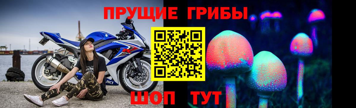 Ставрополь  Галлюциногенные грибы прущие грибы  Вход с VPN 